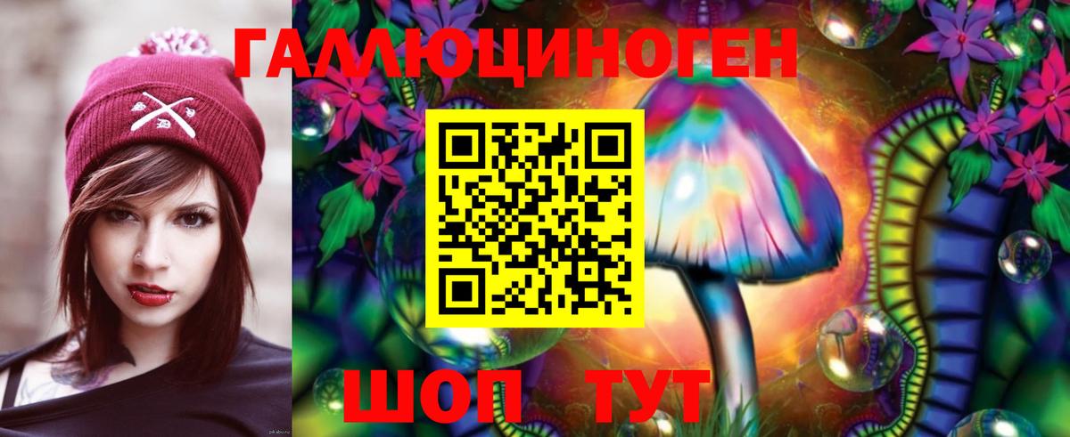 Псилоцибиновые грибы GOLDEN TEACHER Лобня